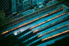 
                    
                        melbourne street photography william watt
                    
                