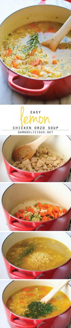 
                    
                        Lemon Chicken and Orzo Soup - Chockfull of hearty veggies and tender chicken in a refreshing lemony broth - it's pure comfort in a bowl!
                    
                