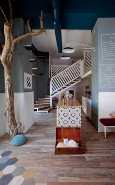 
                    
                        Tommaso Guerra designs a whimsical cat cafe
                    
                