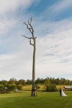 
                    
                        Peppers Creek Hunter Valley wedding photographer. Image: Cavanagh Photography cavanaghphotograp...
                    
                