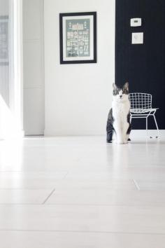 
                    
                        At Home In A Light, Bright Sunnyvale Eichler | Design*Sponge
                    
                