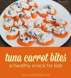 
                    
                        Tuna Carrot Bites: A healthy, easy, and FUN snack for kids. Great for kids that are gluten-free, too! #BumbleBeeB2S #CleverGirls
                    
                