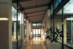 
                    
                        Elm Court Residence - Lake|Flato Architects
                    
                