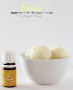 
                    
                        Homemade Sink Disposal Cleaner Tabs - The Taylor House
                    
                