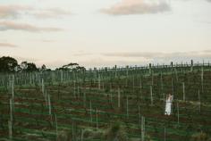 
                    
                        Winter vines. Wedding @ Chateau Elan Hunter Valley. Image: Cavanagh Photography cavanaghphotograp...
                    
                