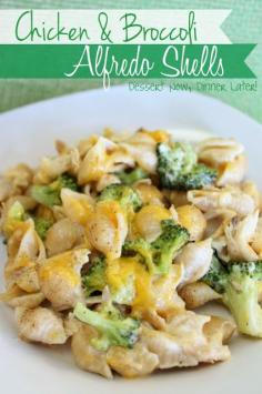 Dessert Now, Dinner Later!: Chicken & Broccoli Alfredo Shells...comfort food.  Great use for leftover rotisserie chicken