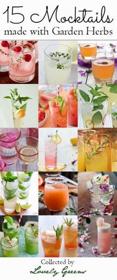 
                    
                        15 Mocktail Recipes made with Garden Herbs | Straight from the garden, this collection of delicious and refreshing drinks are alcohol-free alternatives to their boozier cousins #mocktail
                    
                