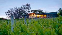 
                    
                        The Lane Vineyard & Bistro - food looks nice. Adelaide
                    
                