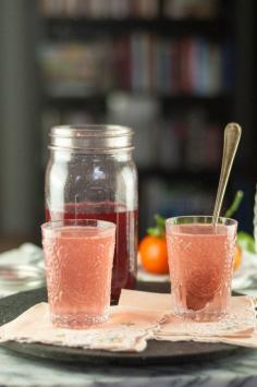 
                    
                        Blackberry-Raspberry Shrub
                    
                