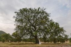 
                    
                        Adams Peak Broke country wedding. Image: Cavanagh Photography cavanaghphotograp...
                    
                