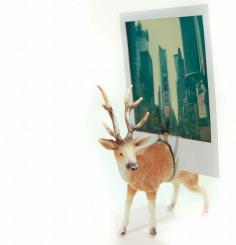 
                    
                        Creative Homemade Valentine Gift Ideas for Kids and for Friends | diyready.com/24-diy-valentine-gifts-you-can-make-under-an-hour
                    
                