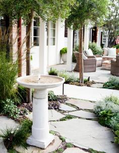 
                    
                        The First Step to a Backyard Makeover
                    
                