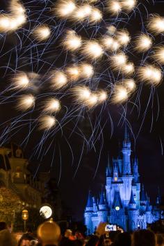 
                    
                        See the Disney World Fireworks in Orlando
                    
                