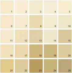 Benjamin Moore Yellow House Paint Colors - Palette 03.1. Windham Cream HC-6 2. San Diego Cream 921 3. Linen Sand 2151-60 4. Woodmont Cream 204 5. Swans Mill Cream 260 6. Ivory Lustre 184 7. Beach Haven 218 8. Bronzed Beige 2151-50 9. Westchester Tan 246 10. Norfolk Cream 261 11. Simply Irresistible 205 12. Philadelphia Cream HC-30 13. Dunmore Cream HC-29 14. Natural Beech 253 15. Amulet AF-365 16. Summer Harvest 206 17. Yellow Bisque 220 18. Mustard Seed 222 19. Westwood Tan 256 20. Adams Gold HC-18 21. Da Vinci’S Canvas 208 22. Waterbury Cream HC-31 23. El Sereno Gold 223 24. Honey Oak 257 25. Rattan AF-375