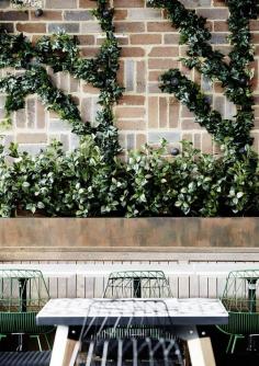 
                    
                        Junction — Moama, New South Wales #greenery
                    
                