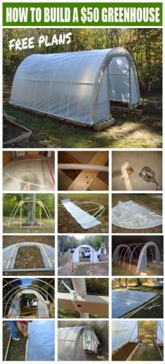 
                    
                        Best DIY Projects: Become self-reliant! Instead of spending lots of money on pesticide laden, genetically modified veggies you can grow your own. The taste (and nutrition) of home grown food is far superior to the grocery store variety and your cost is almost free.
                    
                