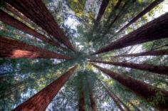 
                    
                        29 Reasons The West Coast Is The Best Coast
                    
                