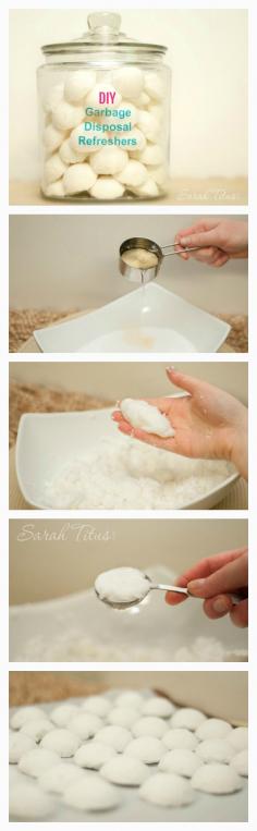 
                    
                        Chances are, with everything that goes in your garbage disposal, odors will begin to accumulate over time. These fantastic DIY Garbage Disposal Refreshers are just what you need!
                    
                