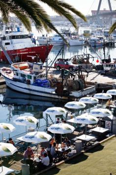 
                    
                        Sydney Fish Market is the largest market of its kind in the Southern Hemisphere.
                    
                