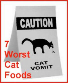 Chances are you are feeding your cat junk food. I'm sure it's not intentional. Maybe you don't know that the dry foods with the fish shapes and bright colors are like cocaine to your cat. A few bites of his cat kibble will make his blood sugar jump sky high, because he does not have the enzymes necessary to digest starch. It's BAD for him, and it causes all kinds of illnesses, long term.