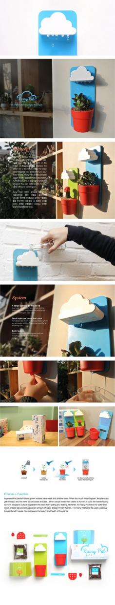 
                    
                        Rainy Pot by Dailylifelab.com
                    
                