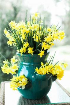 
                    
                        28 Container Gardens for Spring: Day 22 Come and get the DIY on this beauty and many other gorgeous container gardens.
                    
                