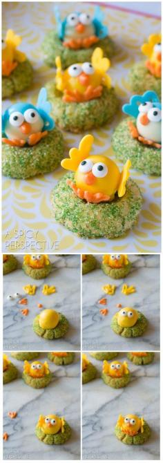 
                    
                        White Chocolate Citrus Chick Cookies
                    
                