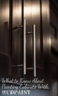 
                    
                        What to know about painting cabinets with MudPaint
                    
                