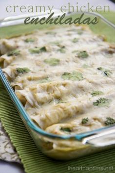 
                    
                        The BEST creamy chicken enchiladas on iheartnaptime.net #recipes #food
                    
                