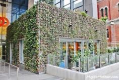 
                    
                        Eat at The Greenhouse Restaurant - 12 Reasons to Visit Perth, Australia
                    
                