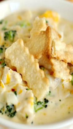 Chicken Pot Pie Soup used 1can of chicken broth and added small can of carrots and small can of peas all of the cream and it made 6 servings