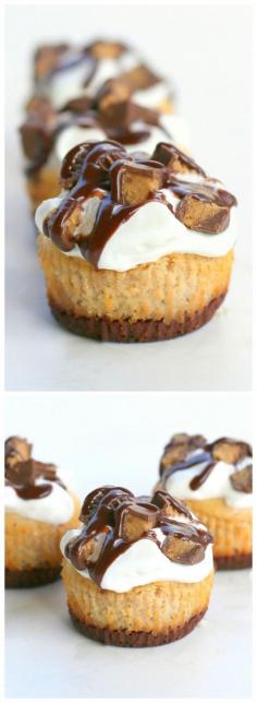 
                    
                        Reese's Peanut Butter Mini Cheesecakes - super easy cheesecakes loaded with peanut butter and chocolate flavor. Can easily be made ahead and frozen.
                    
                