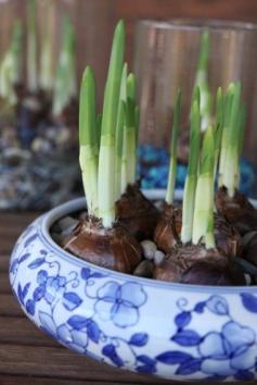 
                    
                        Spring decor inspiration from Mother Nature
                    
                