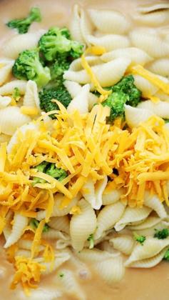 
                    
                        Chicken-Broccoli Shells and Cheese ~ Homemade, lightened-up shells and cheese, tossed with chicken and broccoli florets.
                    
                