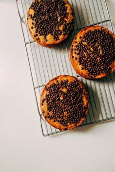 
                    
                        Banana and Chocolate Crunch Cake with Graham Cracker Frosting
                    
                