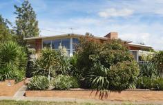 
                    
                        The Geelong home of designer / maker Andrea Shaw of Stampel and her partner Duncan Russell-Smith, a furniture maker. Photo – Eve Wilson. Production – Lucy Feagins on thedesignfiles.net.
                    
                