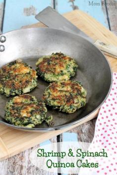 
                    
                        Gluten Free & Perfect for Lent -> Shrimp & Spinach Quinoa Cakes Recipe - Mom Foodie
                    
                
