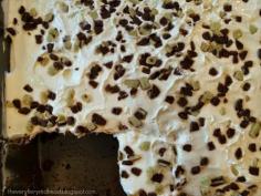 
                    
                        Everyone always asks for another slice of the Grasshopper  mint cake. Tastes just like thin mints.
                    
                