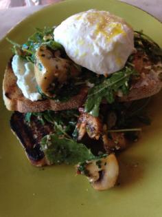 
                    
                        Try the mushrooms!  - Camden Villa, Newtown, NSW, 2042 - TrueLocal
                    
                