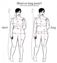 Body shape