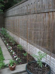 Good way to support tomatos