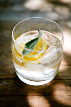 
                    
                        Summer Cordial - gin & tonic+lavender sage honey syrup
                    
                