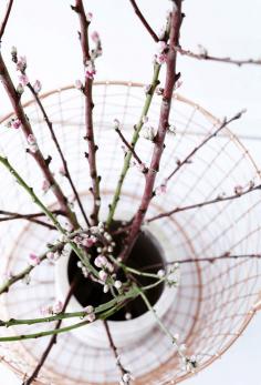 
                    
                        flowers for the weekend..
                    
                