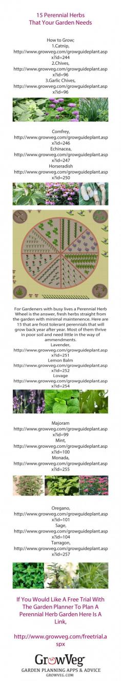 
                    
                        How to create a herb garden that will come back year after year with minimal maintenance, featuring 15 enduring favourites that are easy to grow and thrive in poor soil. All the grow guides that you will need from the Garden Planner at growveg.com
                    
                