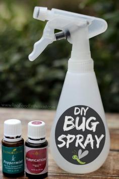 
                    
                        Homemade mosquito repellent that actually works!
                    
                