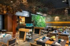 
                    
                        FishFusion, Poltava, 2014 - YOD design lab
                    
                