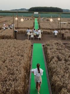 
                    
                        Award winning pop-up restaurant in corn field by FastForward Events (Ghent) for new product of Come a Casa - Origineel pop-up restaurant in Brabants korenveld wint Europese prijzen
                    
                