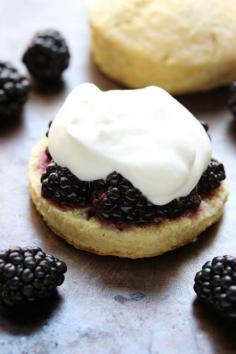 
                    
                        Blackberry Cornmeal Shortcakes
                    
                