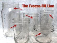 
                    
                        Freeze-fill line
                    
                