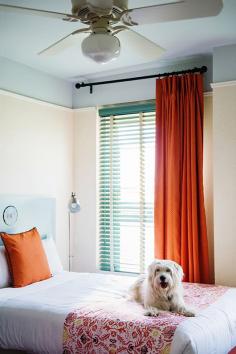 
                    
                        joyride with joie de vivre: A Perfect Day in San Francisco.
                    
                